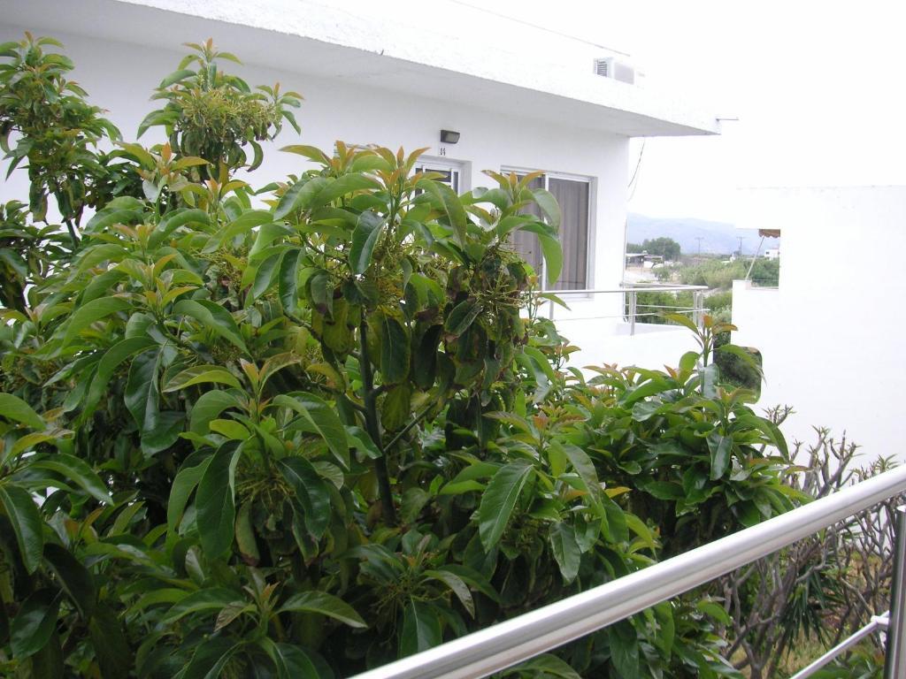 Maria Studios And Apartments Haraki Exterior photo